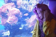 数值与情感的交织，探索强度党与二次元的旅程