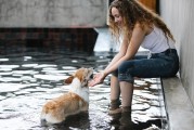 宠物健康守护者，犬细小病毒诊疗全解析