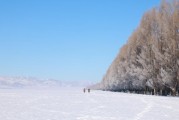 背包客禁区与野生动物袭击高发区的GPS轨迹分析，探索未知与安全的边界