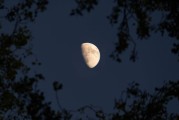 解锁浪漫密码，星盘咖啡拉花定制与星座运势的邂逅