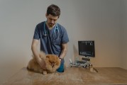 猫咪洗澡频率争议，半年洗一次是否可行？