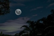 星座下的恐惧与命运，探索内心深处的恐惧型回避与星座运势的交织