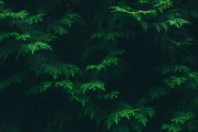 探索瑜伽修复式体式，健康养生之道