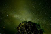 星座指引，母胎单身脱单秘籍