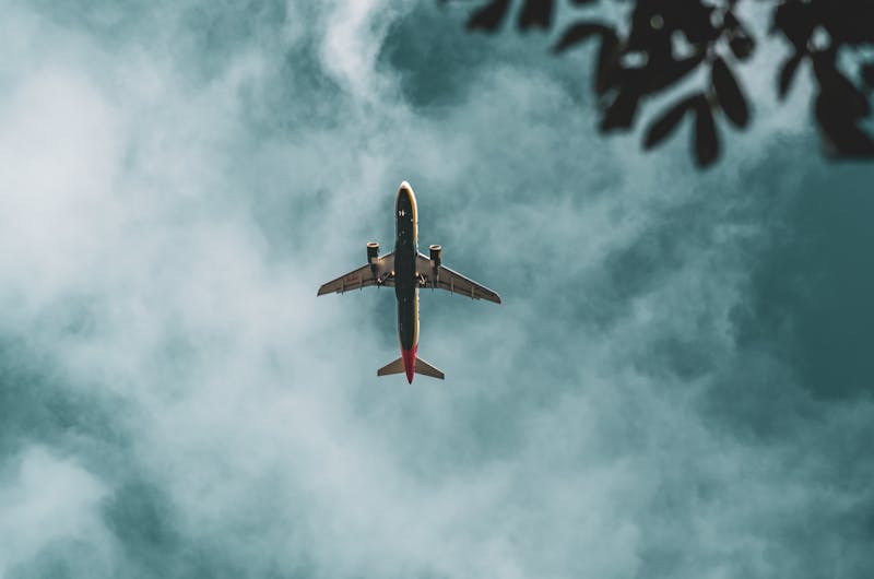 邮轮疫情追踪，中央空调系统成病毒传播放大器