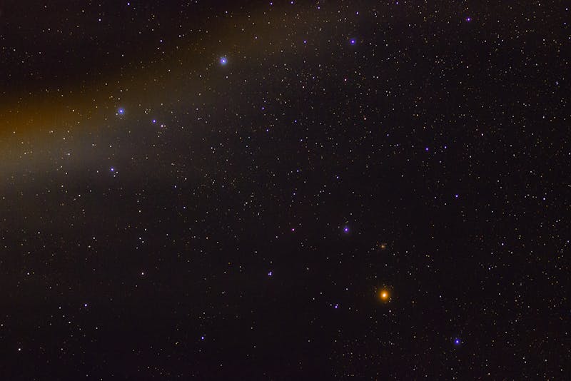 星座宠物驯养黑榜，千万别给射手养乌龟