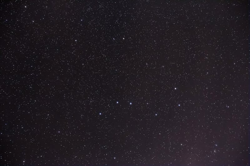 星座与寄生虫，处女座更易感染？