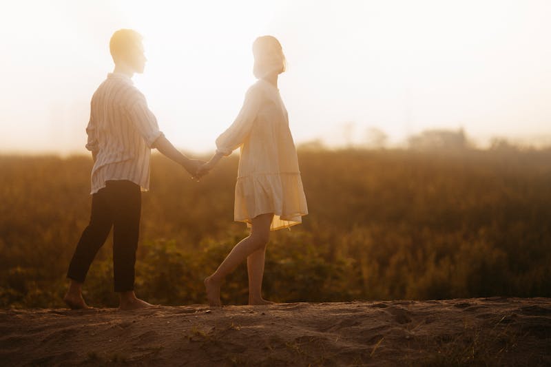 刺猬悖论，亲密关系中为何互相伤害？