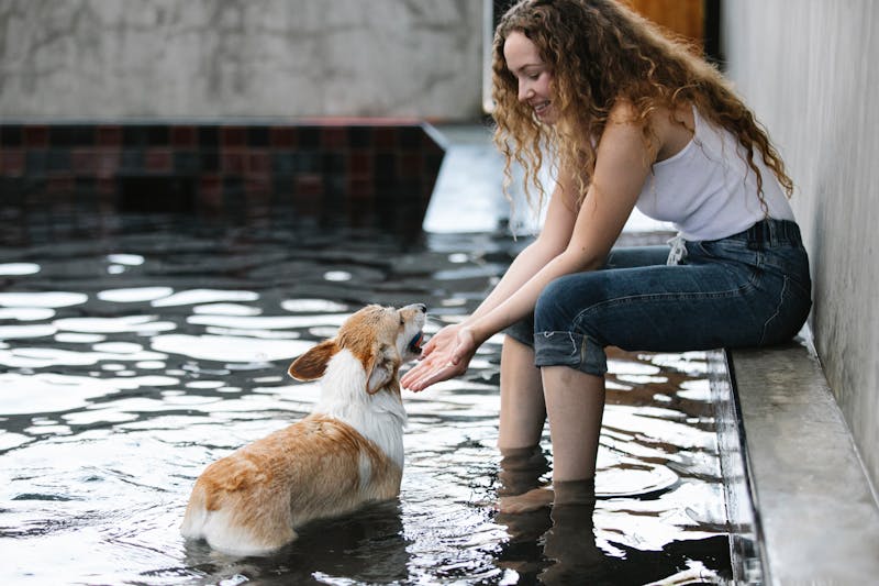 宠物健康守护者，犬细小病毒诊疗全解析
