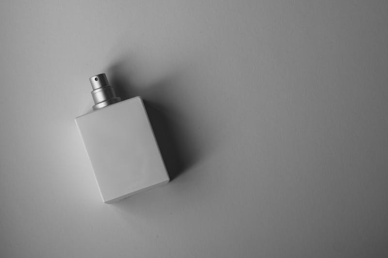 外穿设计引领时尚新潮流