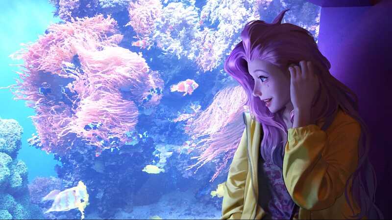 数值与情感的交织，探索强度党与二次元的旅程