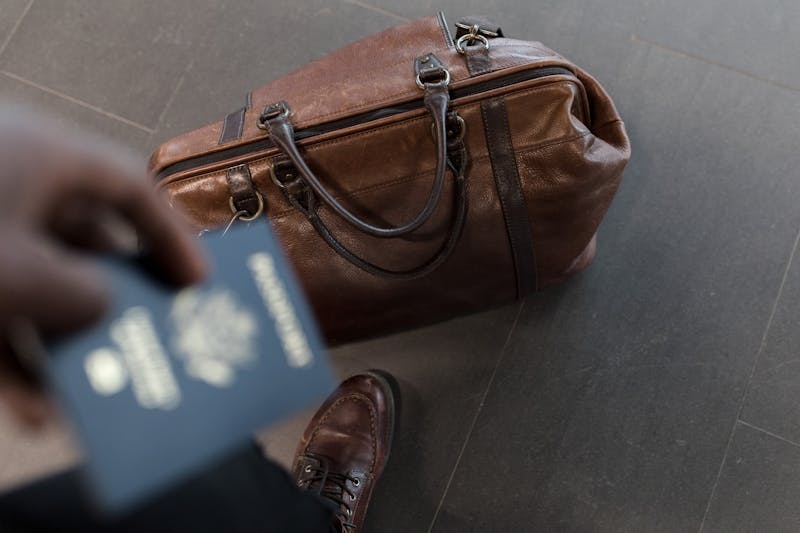 棕熊捕食鲑鱼，阿拉斯加自然奇观之旅
