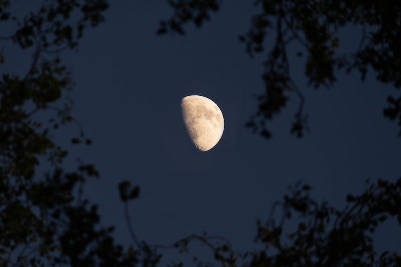 解锁浪漫密码，星盘咖啡拉花定制与星座运势的邂逅