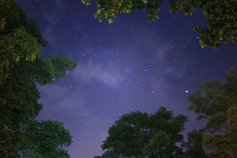 AR技术解锁星座运势新体验