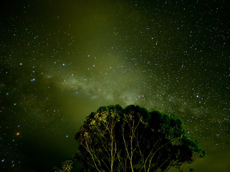 星座指引，母胎单身脱单秘籍
